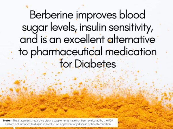 Berberine Extract Powder