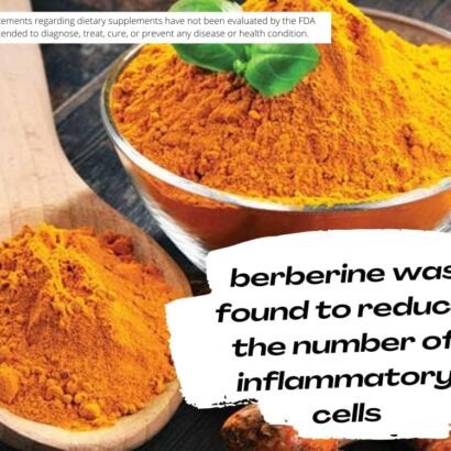 Berberine Extract Powder