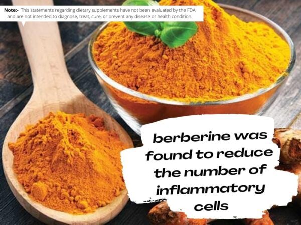 Berberine Extract Powder