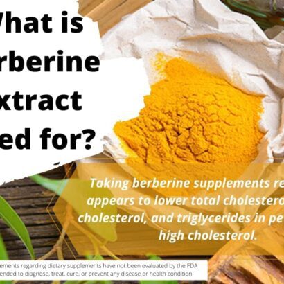 Berberine Extract Powder