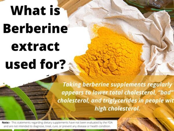 Berberine Extract Powder