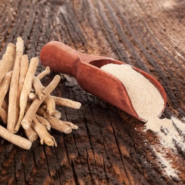 Ashwagandha Extract Powder