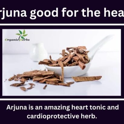 Arjuna Extract Powder