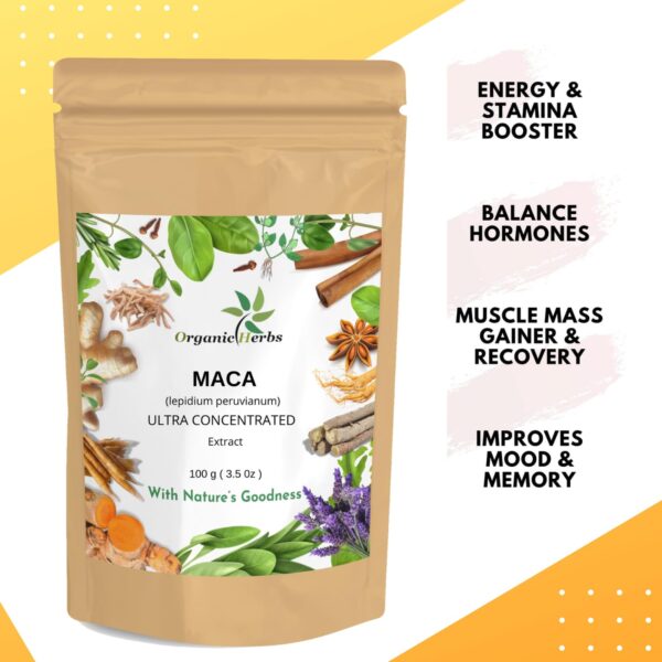 Organic Herbs Maca Extrect Powder