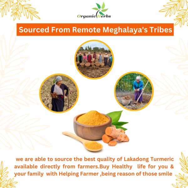 Lakadong Turmeric Powder