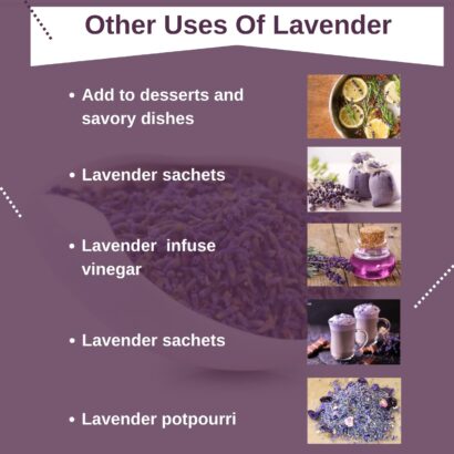 Lavender Herbal tea